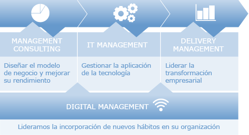 Management Consulting. IT Management (evaluacion y seleccion de software). Delivery Management. Digital Management (estrategia digital industria farmaceutica)